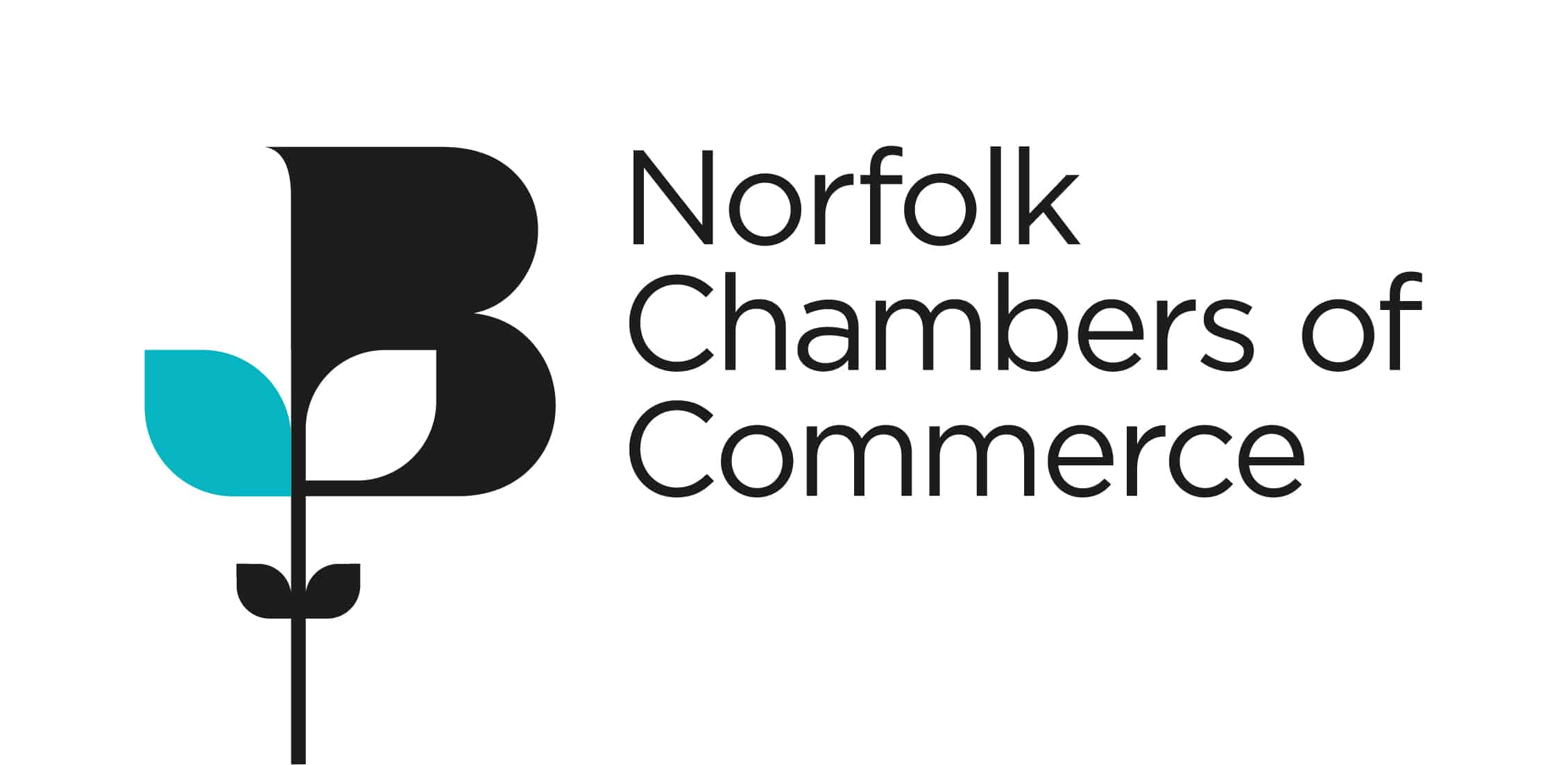 Norfolk Chambers of Commerce logo