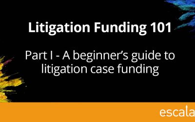 Litigation funding 101 – a beginner’s guide to litigation case funding