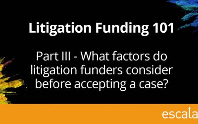 What factors do litigation funders consider before accepting a case?